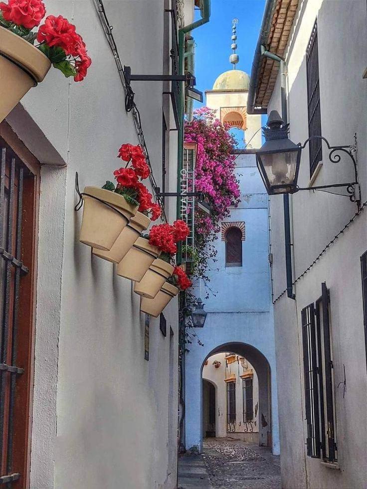 Precioso Loft El Arcangel Junto A La Ribera Кордова Екстер'єр фото